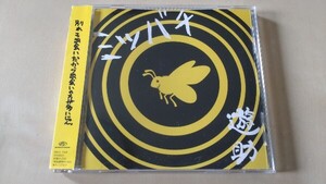 遊助「ミツバチ」CD