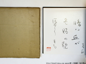 曳白　堀井春一郎全句集　限定16部版　毛筆句署名入/堀井春一郎/深夜叢書社