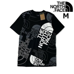 1円～!売切!【正規新品】THE NORTH FACE◆S/S GRAPHIC INJECTION TEE 半袖 Tシャツ US限定 グラフィック 男女兼用 キャンプ(M)黒 180902-15