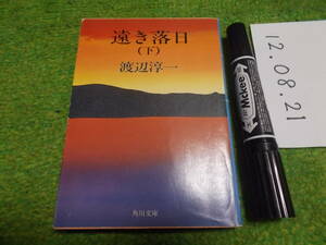 渡辺淳一 遠き落日　下巻