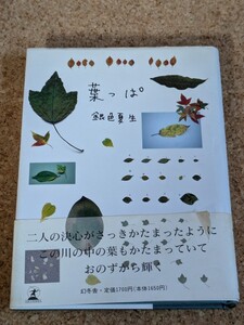 【銀色夏生】　「葉っぱ」　幻冬舎　帯付き　写真詩集