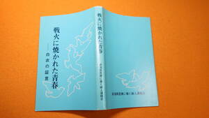 『戦火に焼かれた青春―白衣の証言』新潟県医療に働く婦人連絡会、1982