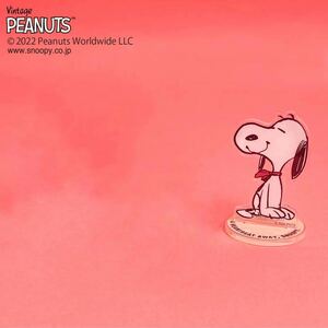 未使用★スヌーピー PLAZA限定　アクリルスタンド アクスタ クリアスタンド PEANUTS ピーナッツ プラザ限定