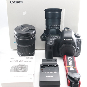 Canon デジタル一眼レフカメラ EOS 6D Mark II EF24-105 IS STM レンズキット