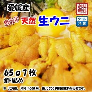 生ウニ 板ウニ 訳あり 60g7枚 愛媛 天然 紫ウニ 赤ウニ 素潜り海士 送料無料 北海道/沖縄/東北は別途送料 浜から直送 宇和海の幸問屋