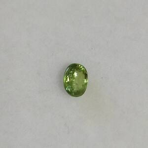 デマントイドガーネット　0.227ct