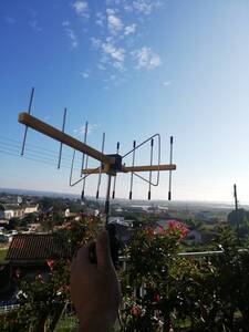 1200MHz 6ele TWIN DELTA LOOP YAGI アンテナ BNC TYPE ( ZHW-HAM-187 )