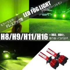 LEDグリーンレモン LEDフォグ H8,H9,H11,H16 HB3/HB4