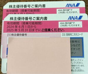 【即日対応 通知のみ】ANA 全日空 株主優待券 バラ売り 国内 航空券 搭乗期限25年5月末まで スピード対応 ANA 通知のみ 航空券 国内 コード