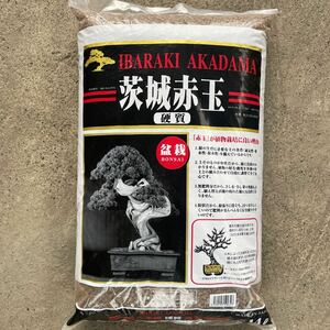 【日本全国送料無料】二本線茨城硬質赤玉-14L-小粒