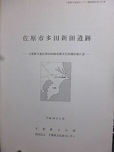 千葉県文化財センター調査報告 334 佐原市多田新田遺跡　主要地方道佐原山田線埋蔵文化財調査報告書