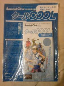 雑誌ベースボールクリニック2011年8月号付録クールＣＯＯＬのみ