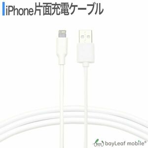 iPhone充電ケーブル 1m ホワイト