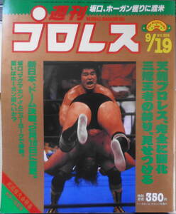 週刊プロレス　平成元年9月19日No.338　全日9・2武道館・天龍VSゴーディ ベースボール・マガジン h