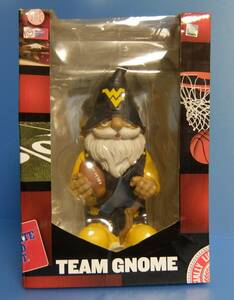 team gnome　ウェストバージニア大学　アメフト　中古