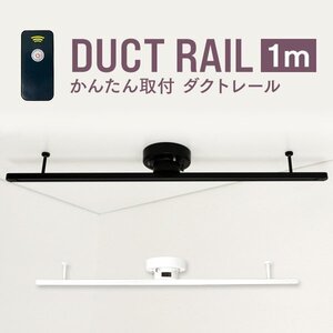 簡易ダクトレール 約100cm 耐荷重5kg 工事不要 リモコン付き ライティングレール シーリンクライト スポットライト ホワイト 白