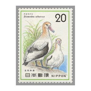 20円 1枚 自然保護シリーズ アホウドリ 1975年(昭和50年) 未使用 日本郵便 