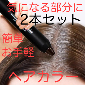 送料無料 2本セット 白髪染め ヘアカラー ブラウン 簡単お手軽 部分染め ヘアケア カラーリング 白髪染