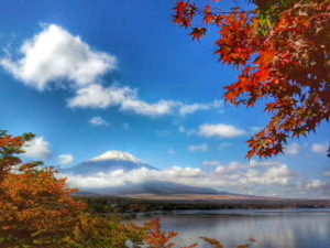世界遺産 富士山4 写真 A4又は2L版 額付き