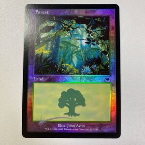 森　FOIL 英語　基本土地　MTG オンスロート　①