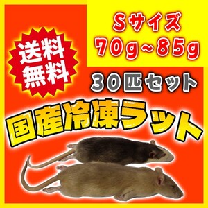 冷凍ラット 70~85g前後 30匹セット 特価