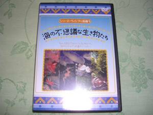 DVD 「シリーズ・ヴィジュアル図鑑３ 海の不思議な生き物たち」