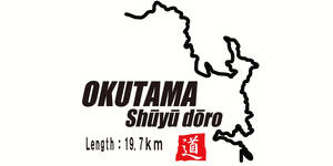 奥多摩周遊道路 峠 頭文字Ｄ 東京 ステッカー デカール 192