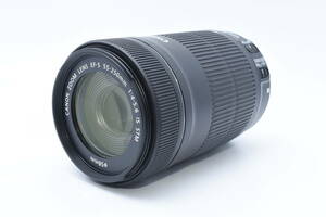 ★美品★ キャノン Canon EF-S 55-250mm 1:4-5.6 IS STM