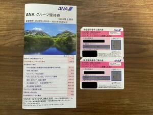 ANA 株主優待券 株主割引券 2枚 最新 2025年期限