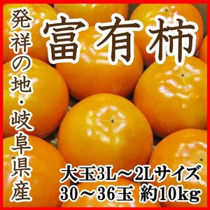 【Good】柿の王様♪発祥の地・岐阜産『富有柿』 大玉30～36玉 約10kg ご予約