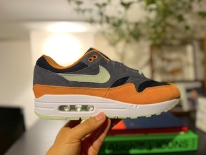 国内正規品 新品 Nike Air Max 1 PRM Duck Honey Dew DZ0482-001