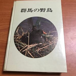 群馬の野鳥