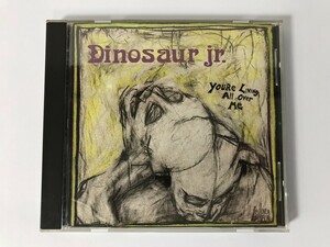 SH896 DINOSAUR JR. / YOU’RE LIVING ALL OVER ME 【CD】 0314