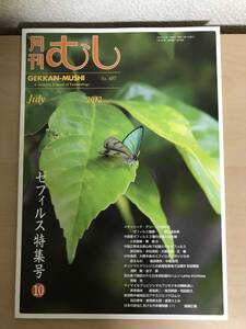 月刊むし 2012年7月号 (No. 497号) ゼフィルス特集号(10)