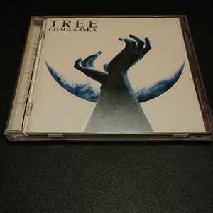 ★ CD ◆ CHAGE & ASKA / TREE / PCCA-00304 ※ SAY YES 僕はこの瞳で嘘をつく チャゲ&飛鳥 チャゲアス