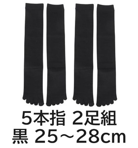 25.26.27.28cm ブラック 5本指 2足組 ミズノ 黒 野球 アンダー ストッキング ソックス 靴下 セット 52UW-08409