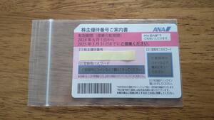 ANA 全日空 株主優待券 1枚 搭乗期限2025.5.31迄 送料込み
