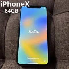 専用　iPhoneX 64GB