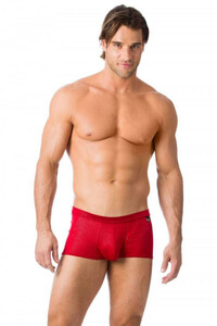 即決新品 グレッグ・オム Gregg Homme 102505 Venom Boxer-Briefs ボクサートランク　レッド　赤色 現品表記サイズ S