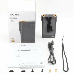 SONY NW-WM1A