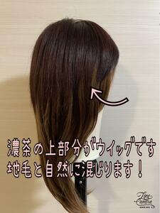 　人毛100% ヘアピース　自然　ストレート　広範囲カバー　部分ウイッグ　ナチュラル　つむじ　ダークブラウン　茶 