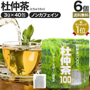 杜仲茶 とちゅう茶 茶葉 ティーパック ティーバッグ ダイエット ダイエット食品 3g*40包*6個セット 送料無料 宅配便