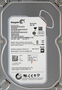 Seagate ST250DM000-1BD141-501 KC47 DP/N 0YVMKX 3.5インチ SATA600 250GB 106回 41359時間