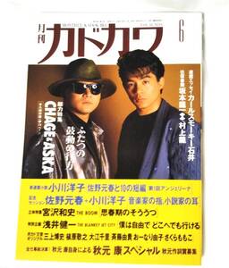 雑誌 月刊カドカワ 1992年6月号 CHAGE&ASKA