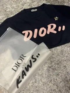 dior Tシャツ　kawsコラボ