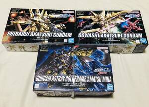 HG シラヌイ アカツキ ガンダム オオワシ アストレイ ゴールドフレーム 天ミナ SEED DESTINY SHIRANUI AKATSUKI GUNDAM OOWASHI GOLD FRAME