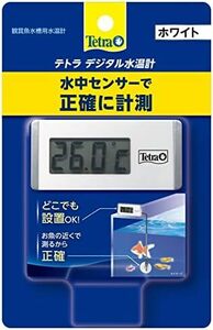 テトラ (Tetra) テトラ デジタル水温計 ホワイト WD-1 水温計 アクアリウム 熱帯魚 メダカ 金