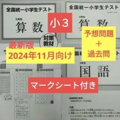 小３　全国統一小学生テスト　2024.11予想問題＋過去問　マークシート付き