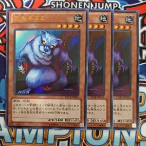 z2678☆遊戯王☆ 巨大ネズミ 3枚 ウルトラ DS14 ③