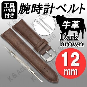 【匿名配送】腕時計 ベルト バンド 12mm 本革 牛革 レザー 無地 交換用 バネ棒 外し工具 バンド レディース 女性 茶色 ダークブラウン